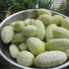 G�rsel 1