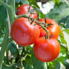 G�rsel 3
