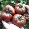 G�rsel 2