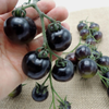 G�rsel 2