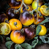 G�rsel 2