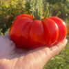 G�rsel 2
