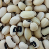 G�rsel 2