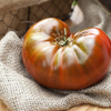 G�rsel 2