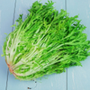 G�rsel 2