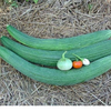 G�rsel 2