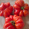 G�rsel 2