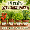 G�rsel 1