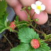 G�rsel 2