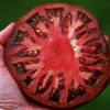 G�rsel 1