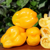 G�rsel 1