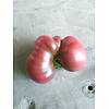 G�rsel 2