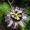 G�rsel 1