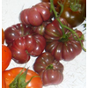 G�rsel 3