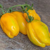 G�rsel 3
