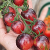 G�rsel 2