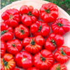 G�rsel 3