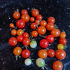G�rsel 2
