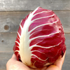 G�rsel 2