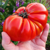 G�rsel 3