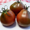 G�rsel 1