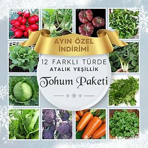 12 Farkl� T�rde Atal�k K��l�k  Sebze ve Ye�illik Tohum Paketi- 1520+ Adet Tohum