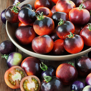 10+ Adet �ndigo Rose Domates Tohumu - Gurme Domates