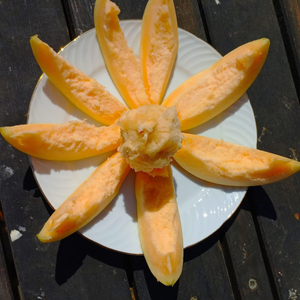 10+ Adet Ba�r� B�t�n Kavun Tohumu - Geleneksel