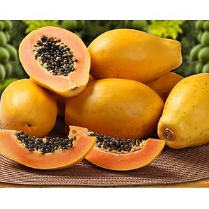 5 Adet Carica Papaya Tropik Meyve Tohumu
