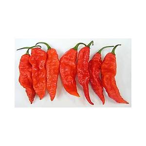 5 Adet Bhut Jolokia �ok Ac� Biber Tohumu- D�nyan�n En Ac� Biber T�rlerinden