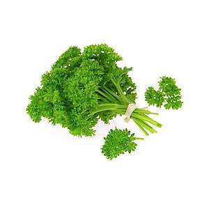 250+ Adet Katmerli K�v�rc�k Maydanoz Tohumu