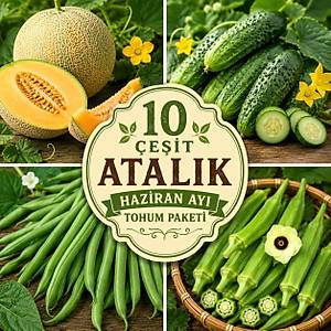 10 Farkl� T�rde Atal�k Haziran Ay� ��in Tohum Paketi- 635+ Adet Tohum