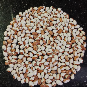 10+ Adet Ay�e Kad�n Atal�k Yerli Fasulye Tohumu