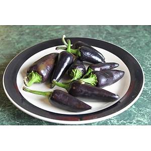 10+ Adet Bordo Jalapeno Ac� Biber Tohumu- �zel T�r