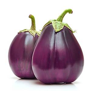 10+ Adet �talyan Floransa Tombul Patl�can Tohumu