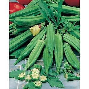 20+ Adet Erkenci Ye�il Bamya Tohumu- �d�ll�
