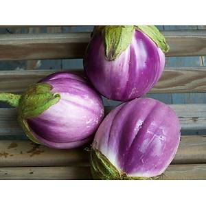 10+ Adet Italyan Rosa Bianca Alacal� Patl�can Tohumu