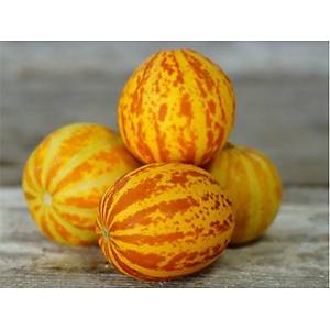 10+ Adet Plum Granny Mis Kokulu Cep Kavun Tohumu