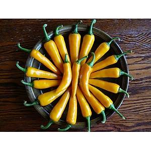 10+ Adet Bulgar Havu� Ac� Biber Tohumu