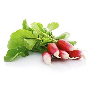 100+ Adet Frans�z Kahvalt� Turp Tohumu