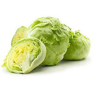 150+ Adet Iceberg G�bek Marul Tohumu