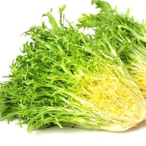 100+ Adet K�v�rc�k Yaprakl� Hindiba- Endiv- K�v�rc�k Frenk Salatas� Tohumu