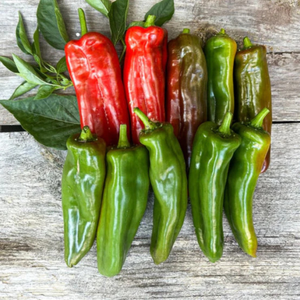 10+ Adet Anaheim Orta Ac� Chili Biberi Tohumu