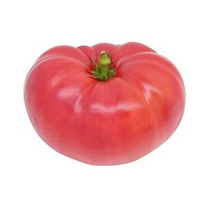 10+ Adet Ponderosa Pembe Biftek Domates Tohumu- S�r�k Tipi Domates- Geleneksel