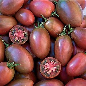10+ Adet Geleneksel Mor Rus Domates  Domatesi Tohumu- Purple Russian Tomato