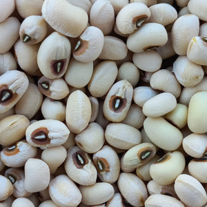 10+ Adet  Sar�g�z B�r�lce Tohumu - Geleneksel