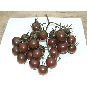 10+ Adet Domates Tohumu- �ikolata Kiraz Domates- S�r�k Tipi Domates