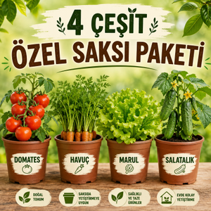 4 �zel �e�it  Saks�l�k Sebze Tohumu Paketi - 370+ Adet Tohum