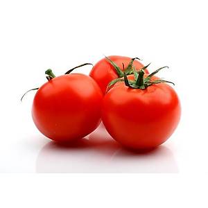 10+ Adet Homestead Domates Tohumu- S�cak �klimlere Uygun T�r-