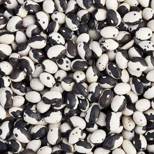 30+ Adet 3 �e�it B�r�lce Tohumu Paketi